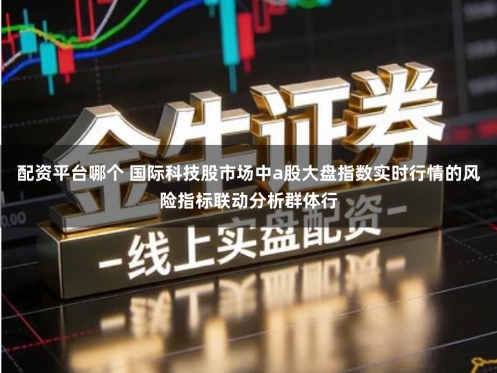 配资平台哪个 国际科技股市场中a股大盘指数实时行情的风险指标联动分析群体行