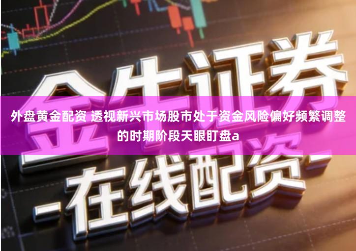 外盘黄金配资 透视新兴市场股市处于资金风险偏好频繁调整的时期阶段天眼盯盘a