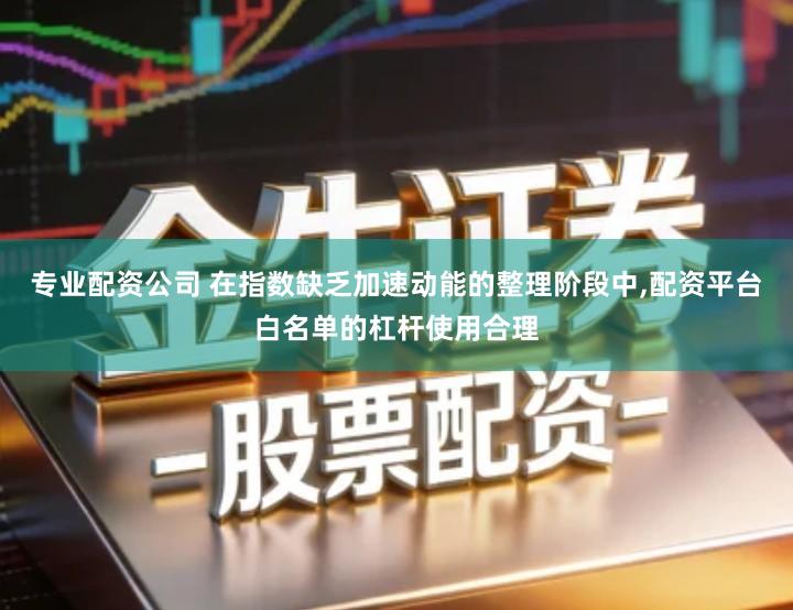 专业配资公司 在指数缺乏加速动能的整理阶段中,配资平台白名单的杠杆使用合理